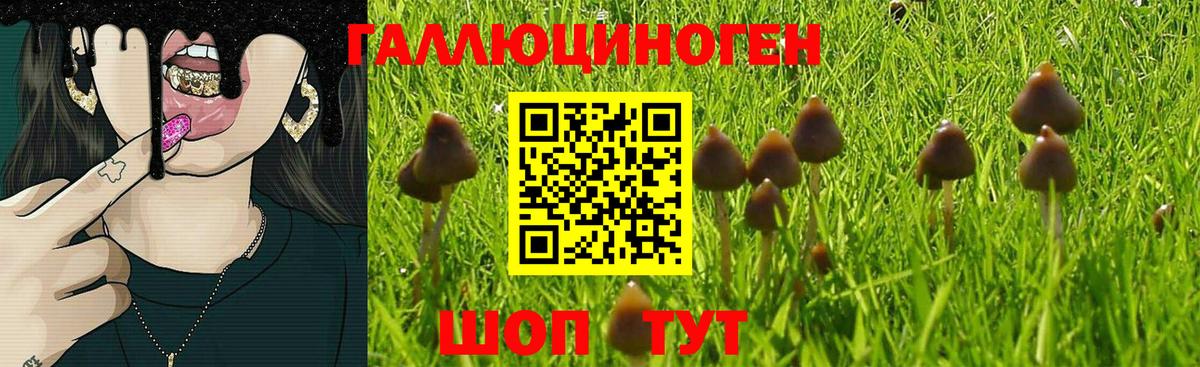 Псилоцибиновые грибы ЛСД Мариинск