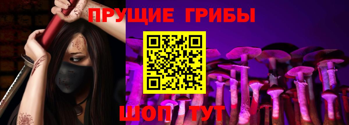 Псилоцибиновые грибы Psilocybe  Галлюциногенные грибы Psilocybe  Вход с VPN  Мариинск 